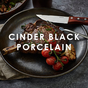 Cinder Black Terra Porcelain