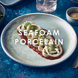 Seafoam Terra Porcelain